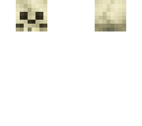 skull head base