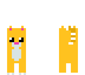 cat minette
