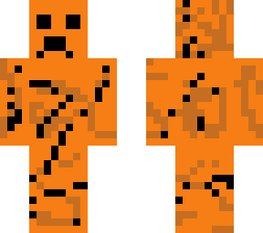 pumpkin creeper