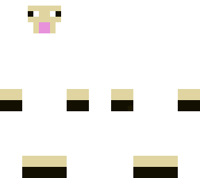 sheep