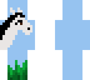 horse skin