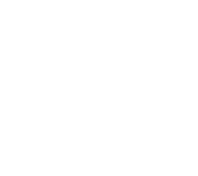 the blank