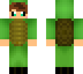 turtle costume