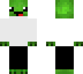 turtle with a jacket
