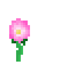 pink daises-flowers contest entry