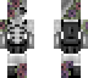 stella skull