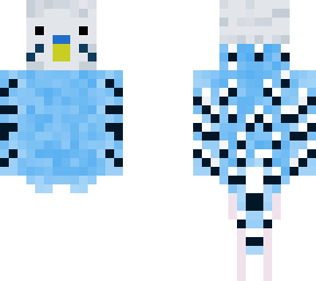blue parakeet man