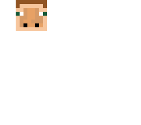 lincoin skin