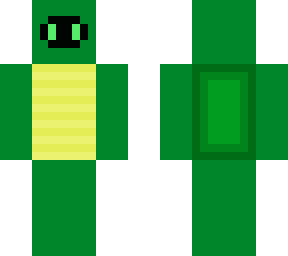 robot turtle