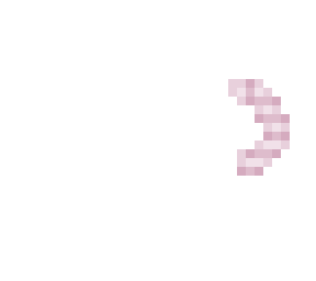 rodent tail base