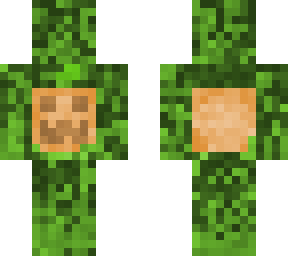 pumpkin garden 2