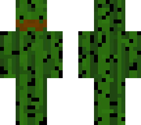 brown moustache cactus