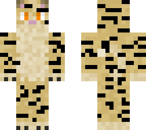 savannah cat
