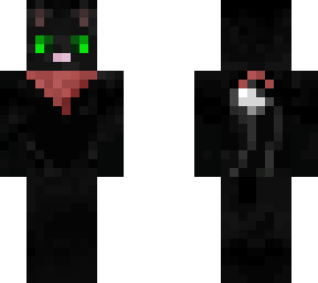 black cat