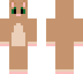 an irish cat
