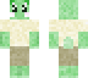 stigs