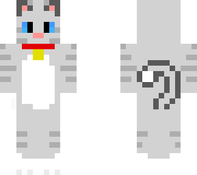 tabby cat with zgard