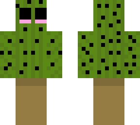 the cacti
