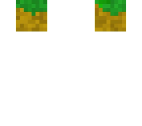 dirt