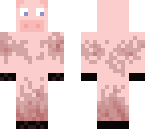pig from barnyard