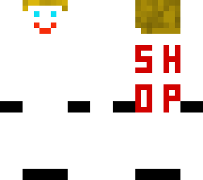 shopskin2
