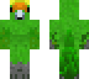 orange-fronted parakeet