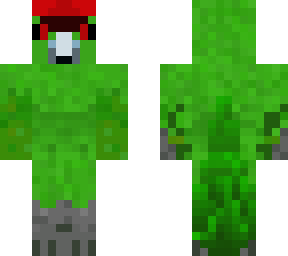 red-crowned parakeet