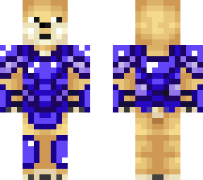 space doge