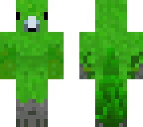 antipodes island parakeet