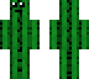 cute cactus
