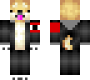 doge-kun