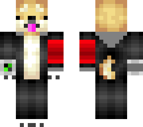 doge-kun