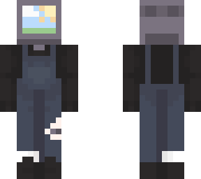 tv skin