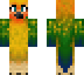 irish bird 3