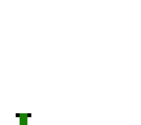 pickle