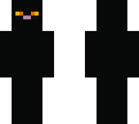 black cat from minecraft cats update