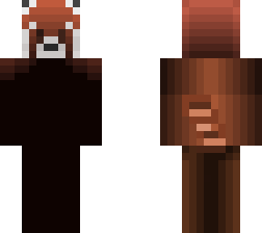 red panda /panda roux :3