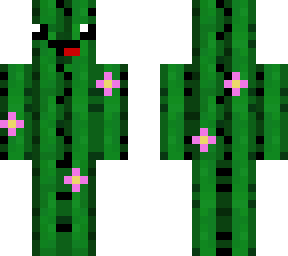 cute flower cactus