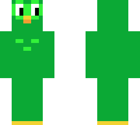 duolingo bird