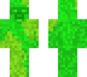 forest steve