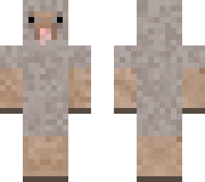 grey sheep
