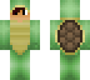 ed's turtle