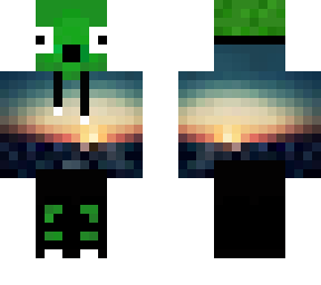 funny turtle