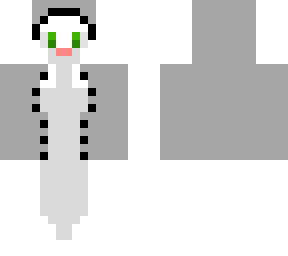 cat in a coat