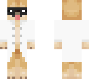 doctor dog