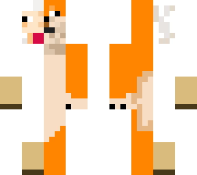 sheep and doge