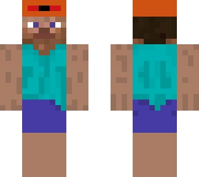 lifeguard steve