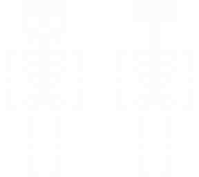 skeleton 2
