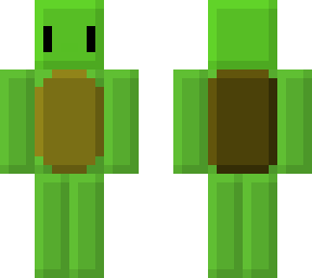plastic turtle