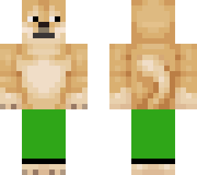 doge with green pants